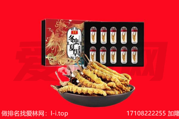文山州回收虫草.jpg